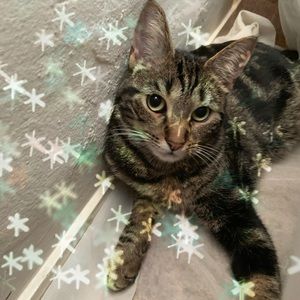 Meet your Posher, D'anna